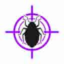 Bed Bug Control - Apartment